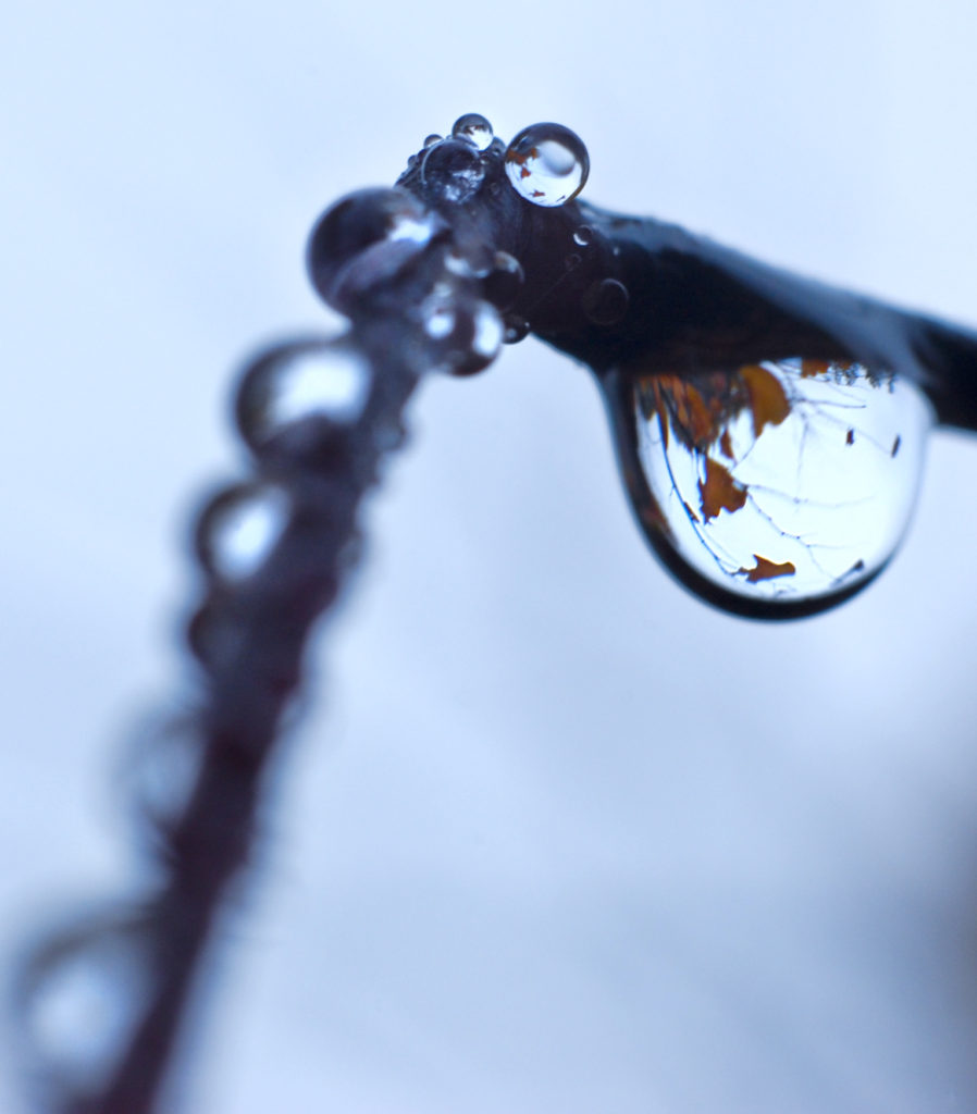 artwork of water droplet