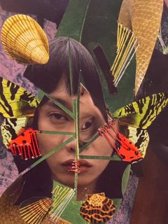 Edition 78 Volume 1 (Fall 2025) 

The digital version of our journal is out now! Use the link below or the link in our bio to our publications page to access the journal. 

A huge shout out and thank you to all the writers and artists who submitted making this possible! We are especially excited to share this edition with you, and hope you all enjoy reading it!

https://issuu.com/brushfire/docs/edition_78_volume_1