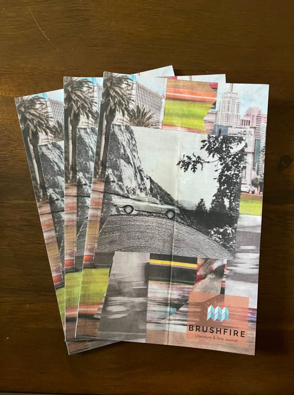 Our physical journals have arrived! You can find them around the UNR campus in Brushfire specific racks. Ones that are almost always stocked up include the one on the first level of the Joe Crowley Student Union, and the first level of the Church of Fine Arts buildings. We will start placing these around campus as the Fall semester gets closer!

If you requested a journal to be mailed, those should start shipping out very soon! Keep in mind we are a small student-ran staff, so it could take up to a month or two for all of those to be sent through the mail. We will make a new update on when all journals have been shipped!